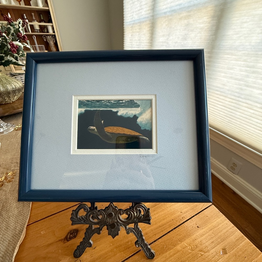Courtland Roberts “Soaring” Sea Turtle Framed Art Print Coastal Decor